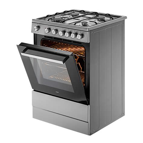 electric gas stove indian cooking